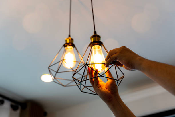 Best Home Electrical Repair  in Lakefield, MN